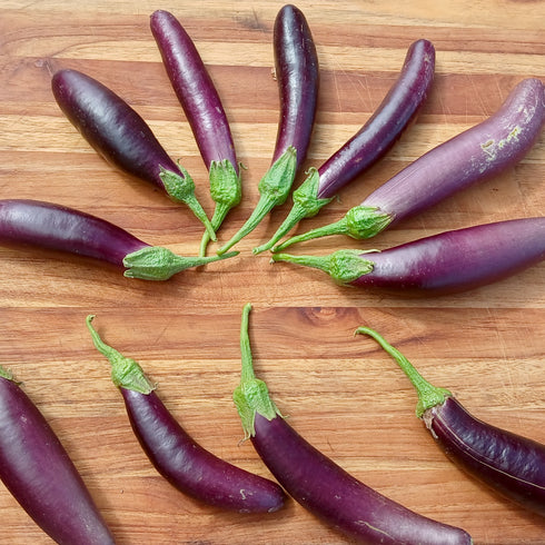 Long Asian Eggplant